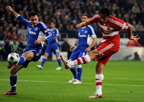 在夏窗听取 在夏窗听取